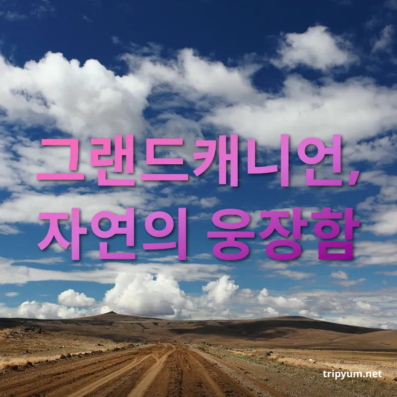 서부 미국 로드트립 - 그랜드캐니언, 자연의 웅장함 서부 미국 로드트립 그랜드캐니언, 자연의 웅장함 관련 이미지