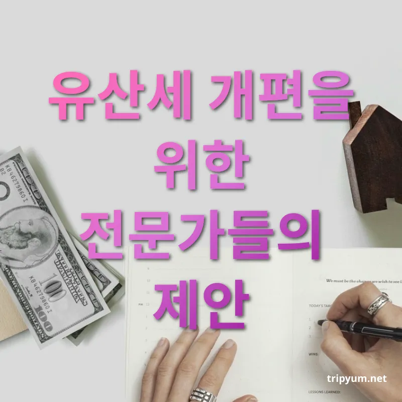 유산세 개편 - 유산세 개편을 위한 전문가들의 제안 유산세 개편 유산세 개편을 위한 전문가들의 제안 관련 이미지