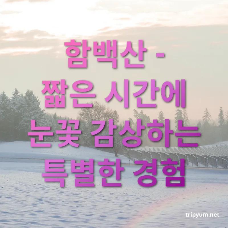 겨울 눈꽃 산행 - 함백산 - 짧은 시간에 눈꽃 감상하는 특별한 경험 겨울 눈꽃 산행 함백산 - 짧은 시간에 눈꽃 감상하는 특별한 경험 관련 이미지