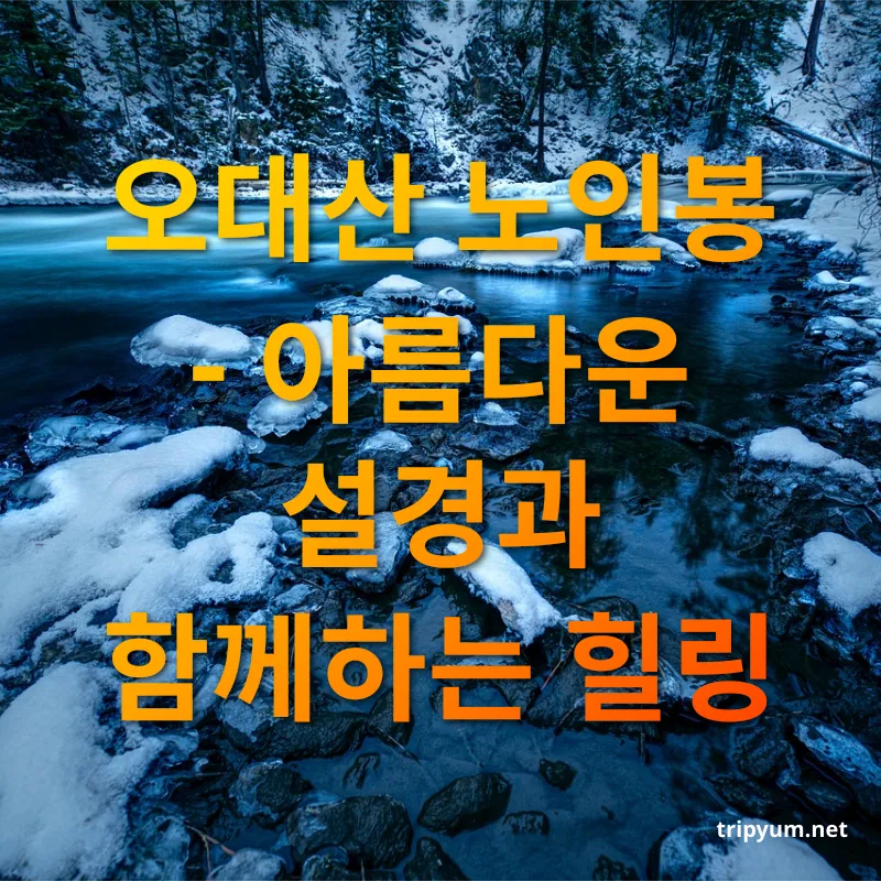 겨울 눈꽃 산행 - 오대산 노인봉 - 아름다운 설경과 함께하는 힐링 겨울 눈꽃 산행 오대산 노인봉 - 아름다운 설경과 함께하는 힐링 관련 이미지